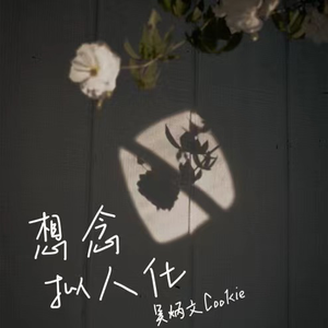 库洛战败cg踩原视频2023年
